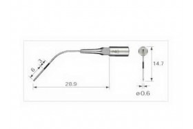 Insert NSK P40