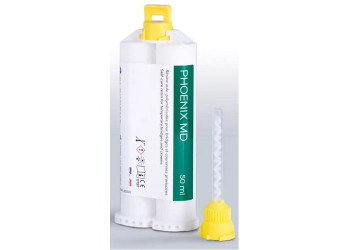 PHOENIX MD - ELSODENT